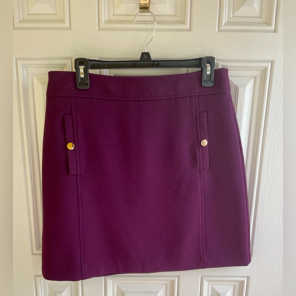 Nice Suit Skirt